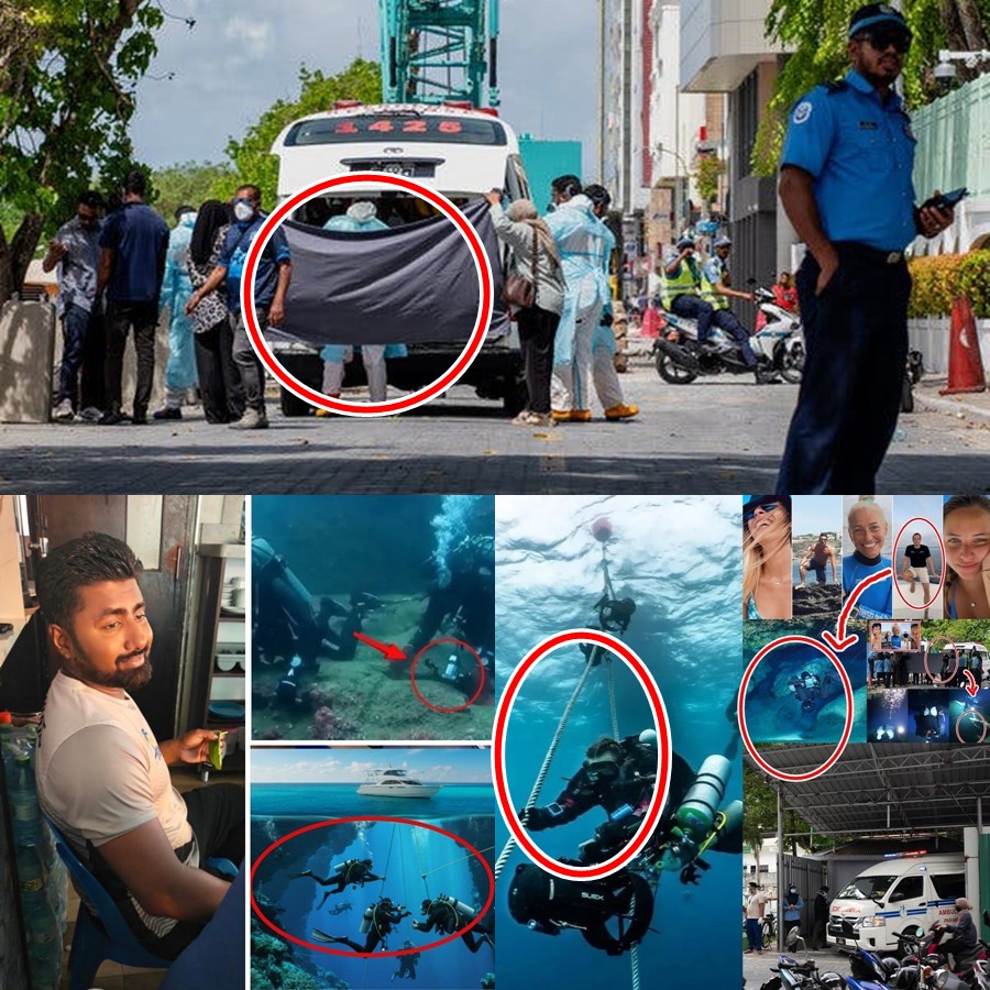 THE “SAND WALL” ILLUSION AND THE MOST HORRIFYING DIVING TRAGEDY IN MALDIVES HISTORY