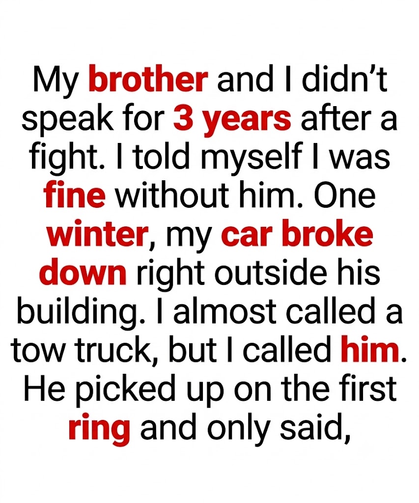 FROM BROTHERS TO STRANGERS: The Dark Truth Behind a Three-Year Silent Stand-off
