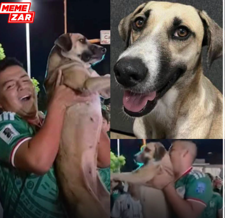 A World Cup Miracle: Missing Dog Reunited with Owner After Being Spotted “Partying” with Soccer Fans